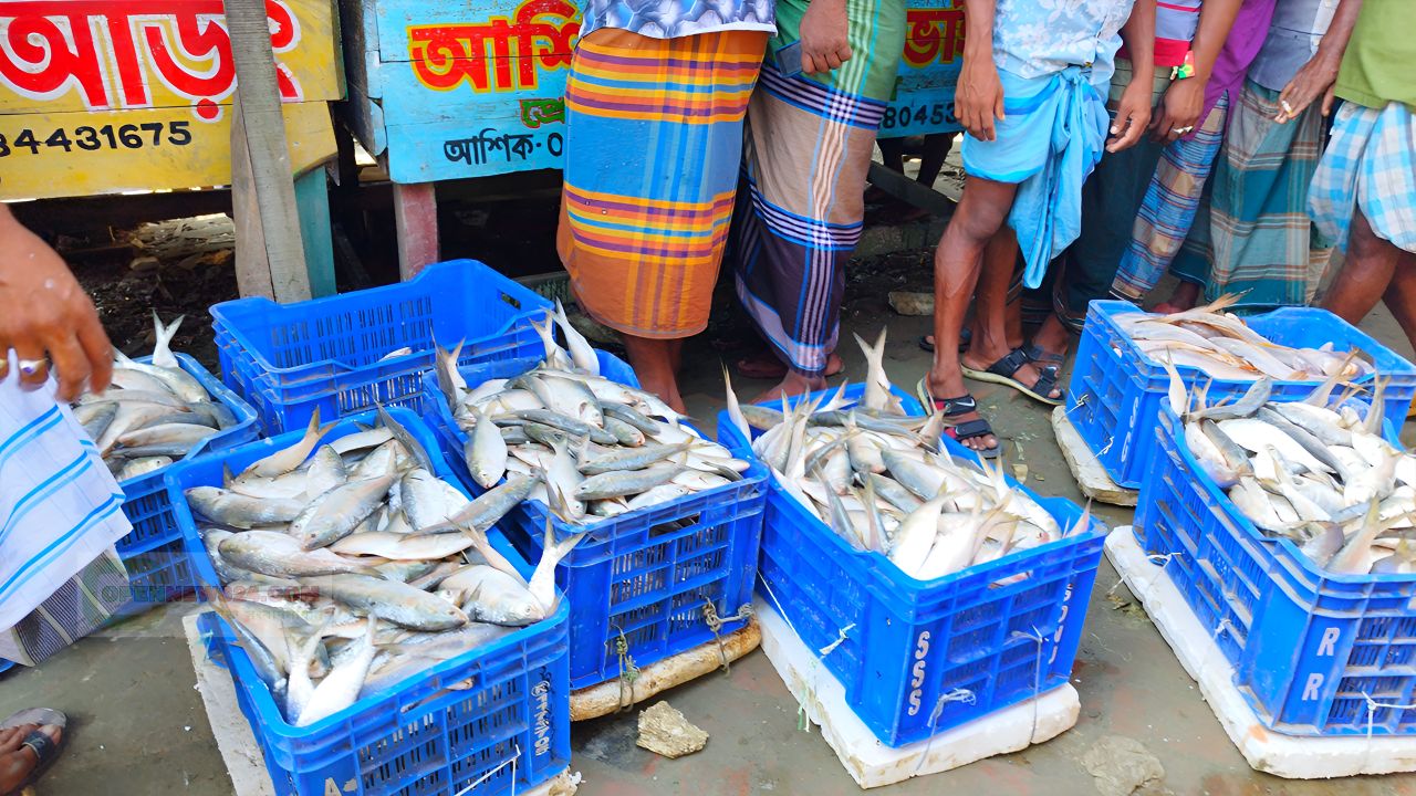 নিষেধাজ্ঞা শেষে ঘাটে ফিরেছে প্রাণচাঞ্চল্য