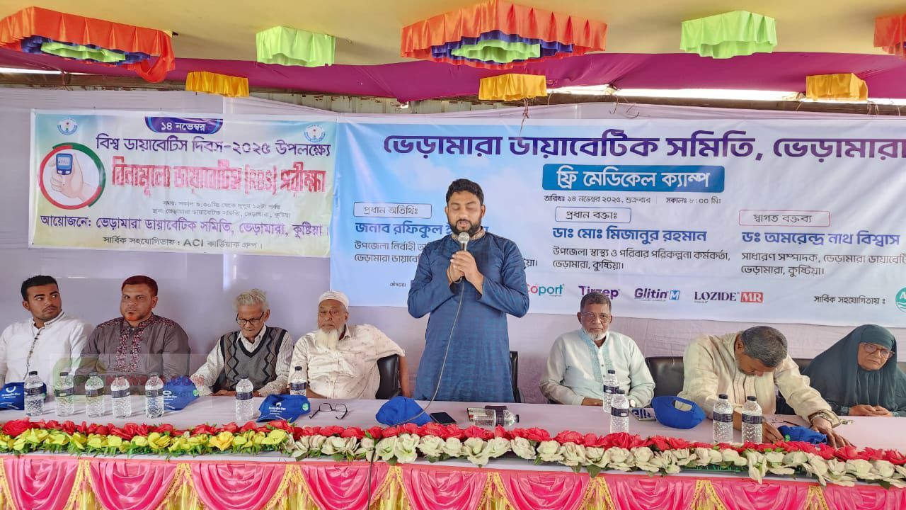 ভেড়ামারায় ডায়াবেটিক দিবস পালিত 