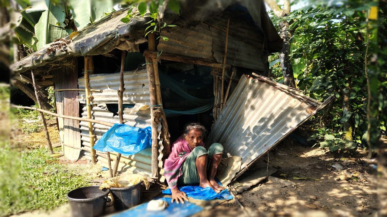 তারেক রহমানের জন্মদিনে অসহায় বৃদ্ধা বিমলা হাজংকে ঘর উপহার দিচ্ছেন ব্যারিস্টার কায়সার কামাল