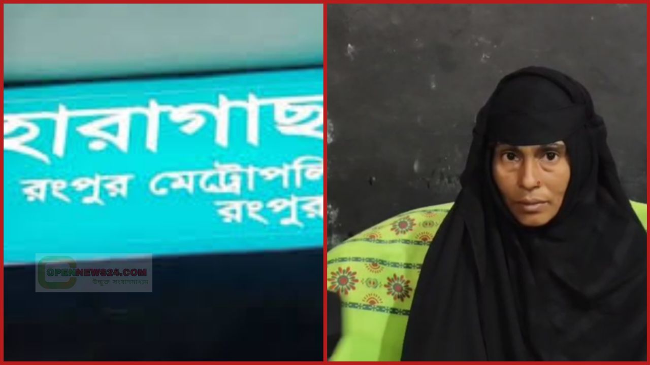 হারাগাছে বিধবা নারীকে জোরপূর্বক গর্ভপাত, অপহরণ ও অস্ত্রের মুখে বিয়েতে বাধ্য করার অভিযোগ