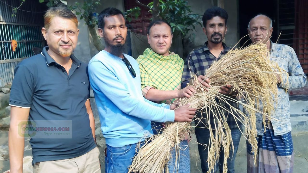 কালিয়ার নড়াগাতীর কলাবাড়িয়ায় বিএনপির নির্বাচনী প্রচারণায় জনসক্রিয়তা বৃদ্ধি