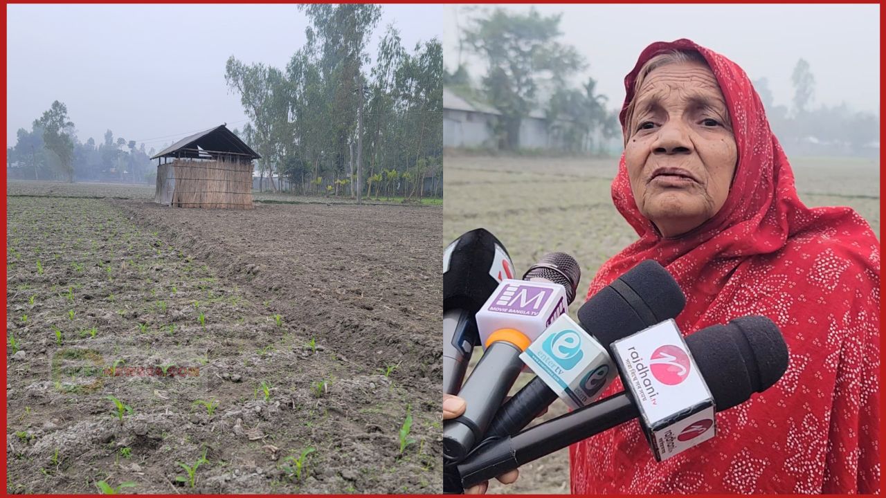 কাউনিয়ায় আ.লীগ নেতার বিরুদ্ধে জমি দখল ও ফসল নষ্টের অভিযোগ