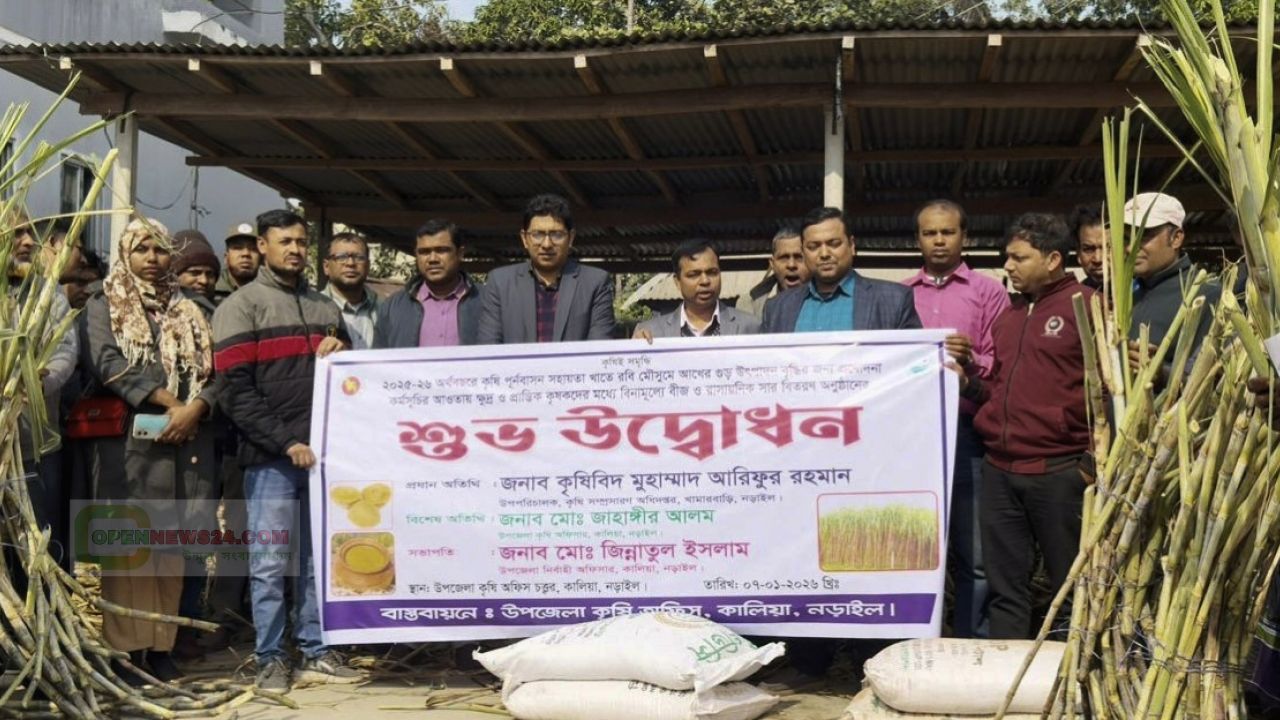 কালিয়ায় কৃষকদের মাঝে বিনামূল্যে আখের বীজ ও সার বিতরণ কার্যক্রমের উদ্বোধন
