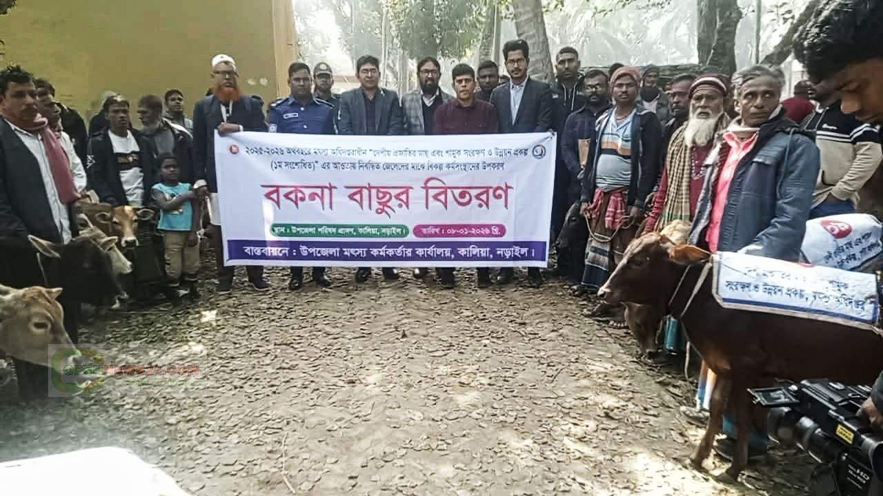 কালিয়ায় প্রান্তিক জেলেদের মাঝে গরু বিতরণ