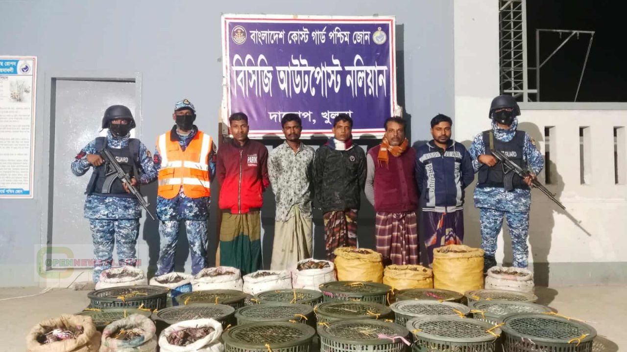 কোস্ট গার্ডের অভিযানে অবৈধ কাঁকড়াসহ ৫ কাঁকড়া ব্যবসায়ী আটক।