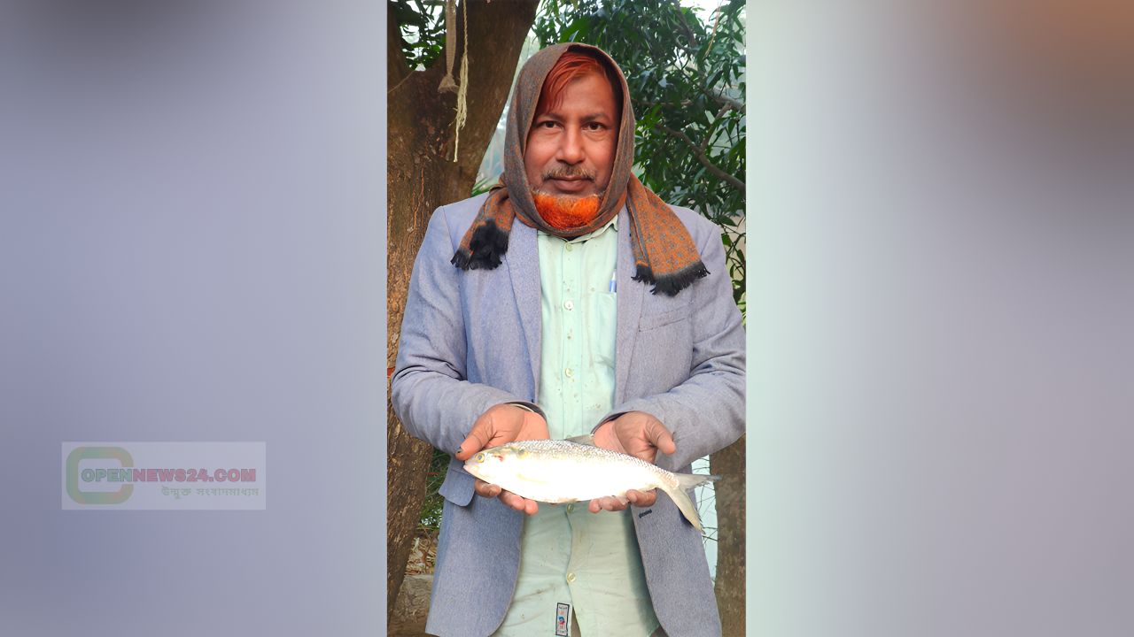 পুকুরে মিলল রুপালি ইলিশ