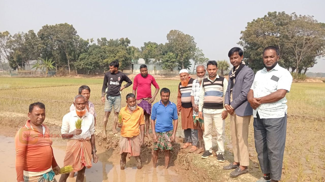 ভোটের হাওয়ায় ধানের শীষ, জনতার আস্থায় ব্যারিস্টার কায়সার কামাল—গাওকান্দিয়া ইউনিয়নে গণসংযোগ