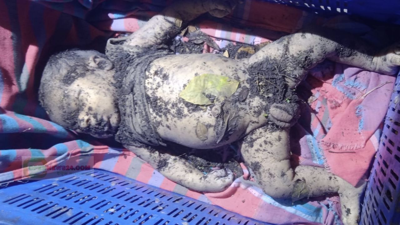 পুত্রসন্তানকে গলা টিপে হত্যা করেছে পাষন্ড পিতা