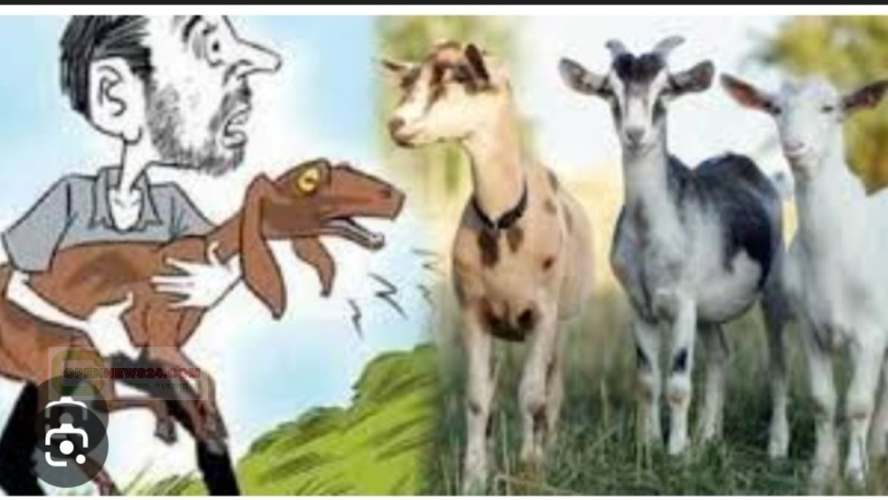 রমজানেও থামছে না চুরির দৌরাত্ম্য: নড়াগাতির পহরডাঙ্গায় ডর-বল্লাহাটি আতঙ্কে গ্রামবাসী