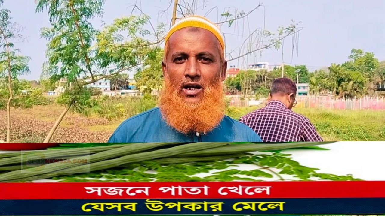 গোপালগঞ্জে বিক্ষোপ্রেমী দেলোয়ার হোসেনের উদ্যোগ—সরকারি রাস্তার পাশে সজনে গাছ রোপণে মিলছে সুফল