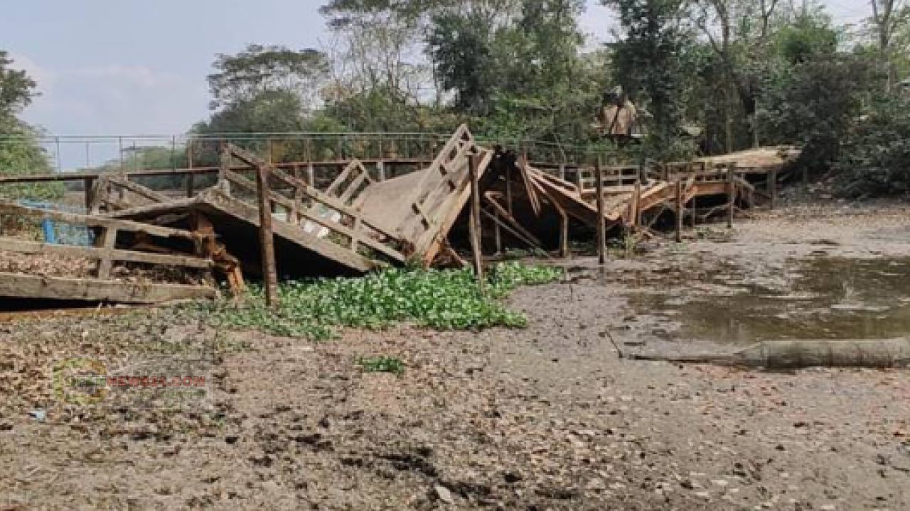 দুই বছর ধরে সেতু ভেঙে পড়ে আছে খালে, অস্থায়ী কাঠের সেতুটিও ঝুঁকিপূর্ণ