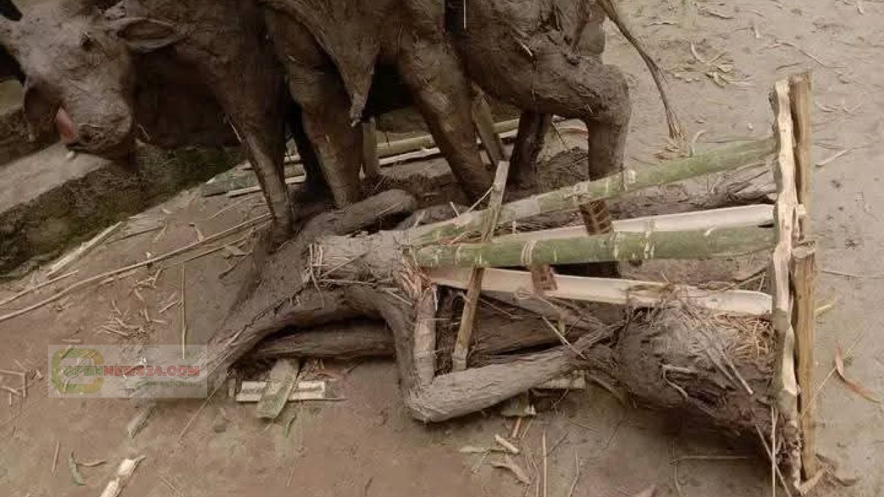 ঠাকুরগাঁওয়ের রাণীশংকৈলে কেন্দ্রীয় শ্মশান কালী মন্দিরে প্রতিমা ভাঙচুর, 