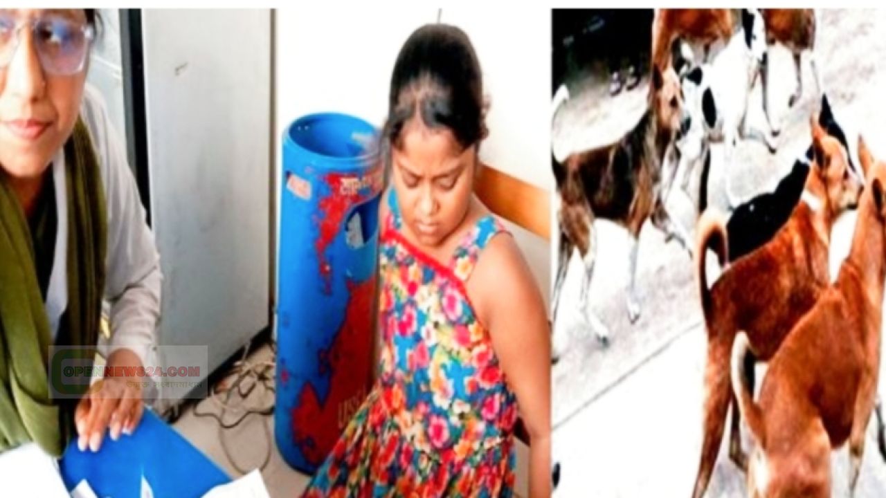 গোপালগঞ্জে বেওয়ারিস কুকুরের আতঙ্ক: নারী-শিশুসহ আহত হাসপাতালে ভ্যাকসিন সংকট 