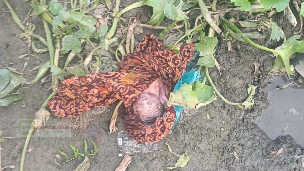 ফরিদপুরে প্লাস্টিক ও কাপড়ে মোড়ানো অজ্ঞাত ভ্রূণের লাশ উদ্ধার