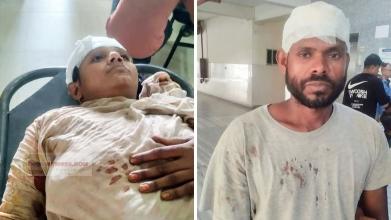 পালিত কুকুর নিয়ে বিরোধ, নড়াগাতীতে দুই পক্ষের সংঘর্ষে ৫ আহত