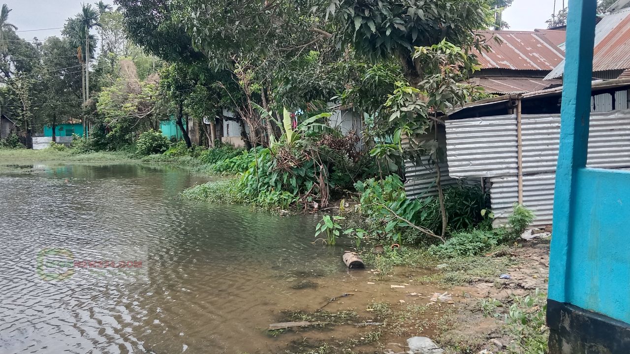 নেত্রকোনা দুর্গাপুর পৌরসভার রাস্তা ও ড্রেনেজ সংকটে চরম ভোগান্তি,দ্রুত সমাধানে ডেপুটি স্পিকারের হস্তক্ষেপ কামনা স্থানীয়দের!
