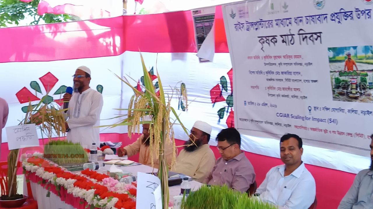 নড়াইলের কালিয়ায়  রাইস ট্রান্সপ্লান্টার প্রযুক্তিতে ধান চাষে কৃষক মাঠ দিবস ও নমুনা শস্য কর্তন