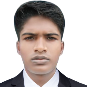 মোঃ মেহেদী মৃধা 